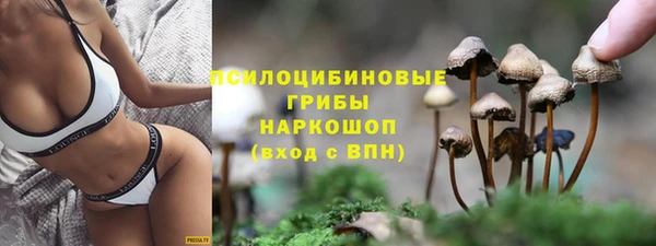 кокаин Гусь-Хрустальный