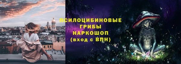 индика Покровск
