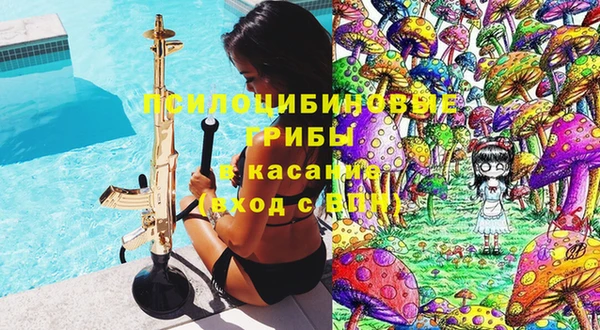 индика Покровск
