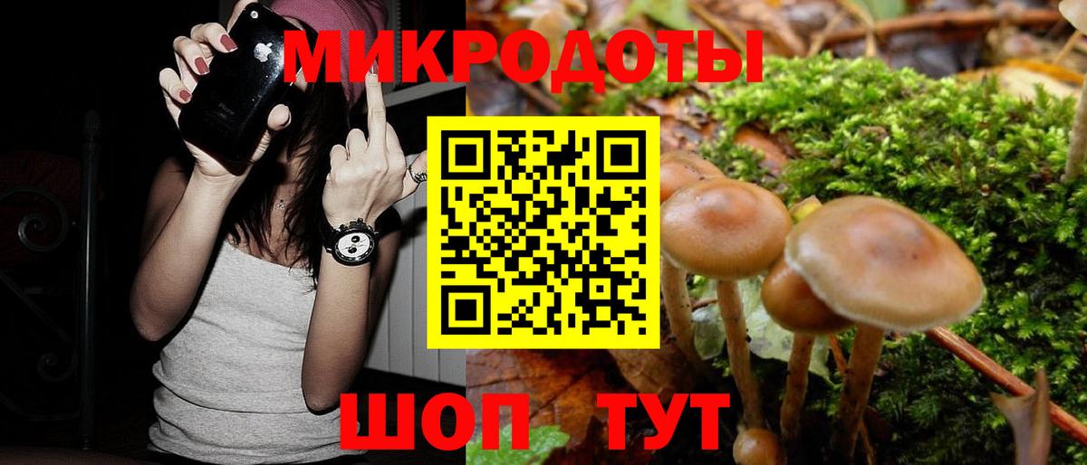 Заволжье  Псилоцибиновые грибы мухоморы  Вход с VPN 