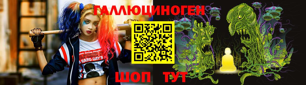 Галлюциногенные грибы Psilocybine cubensis Заволжье