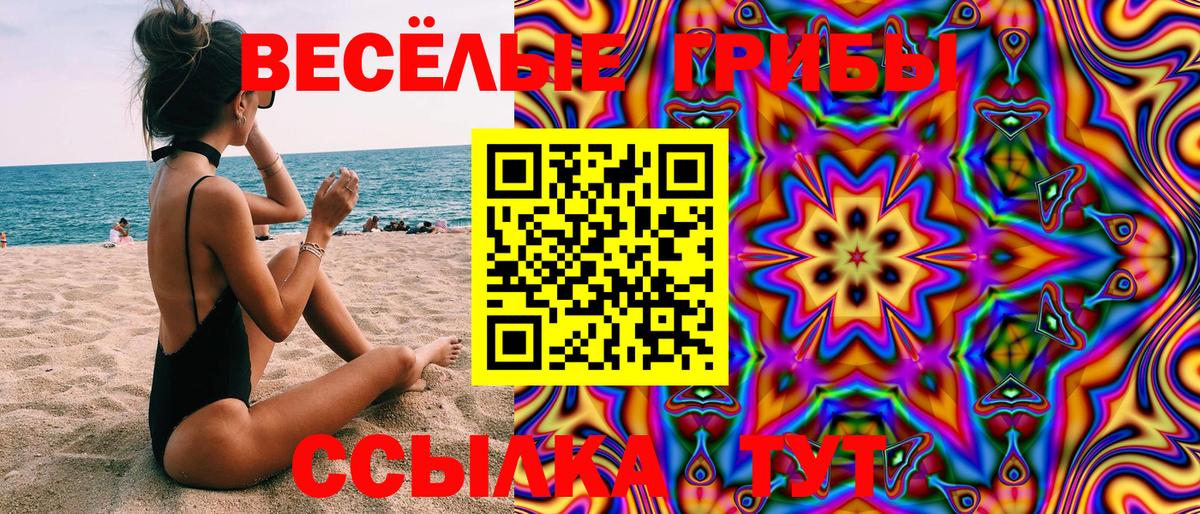 Псилоцибиновые грибы мухоморы  где купить наркотик  Заволжье 
